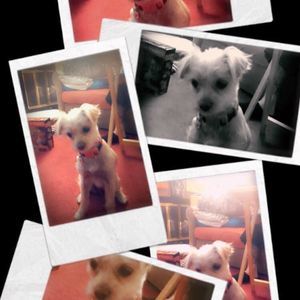 Meet your Posher, Erica